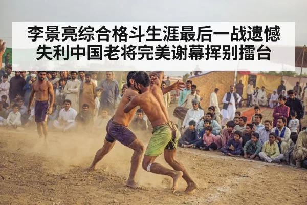 crowd watching fight event